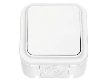 Выключатель 1 клав. (открытый, 6А, брызг. защ.) белый, Пралеска Аква, Bylectrica