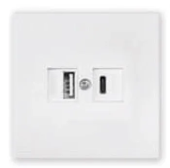 Розетка с двумя USB-разъемами (скрытая, узел) белая, Carre BYLECTRICA