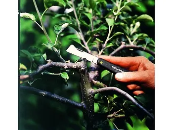 Нож садовый плоский для прививок FISKARS