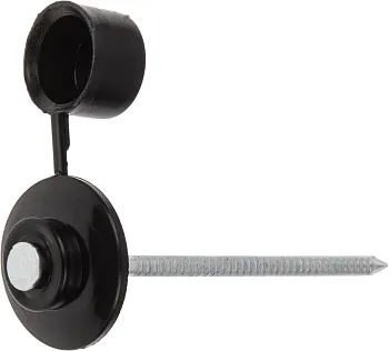 Гвоздь кровельный 2.8х70 мм с пласт. шляпкой, черный (100 шт в пласт. конт.) STARFIX