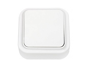 Выключатель 1 клав. (открытый, 6А) белый, Пралеска, Bylectrica