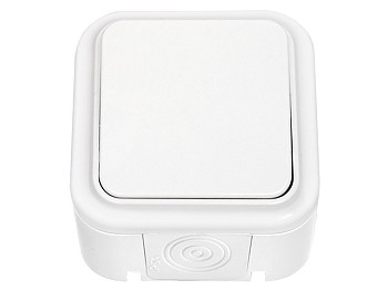 Выключатель 1 клав. (открытый, 6А, брызг. защ.) белый, Пралеска Аква, Bylectrica