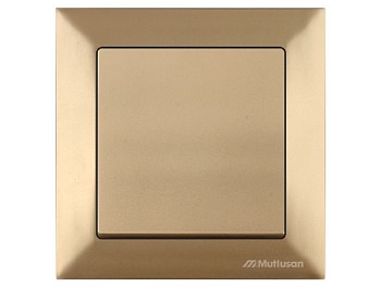 Выключатель 1-клав. двухполюсный (скрытый, винт. зажим) золото, DARIA, MUTLUSAN