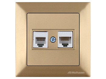 Розетка телефонная + компьютерная (RJ12+Cat5e, скрытая) золото, DARIA, MUTLUSAN