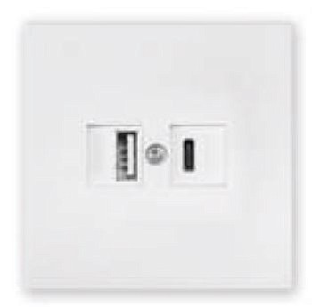 Розетка с двумя USB-разъемами (скрытая, узел) белая, Carre BYLECTRICA