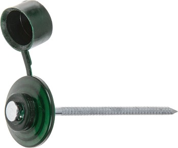 Гвоздь кровельный 2.8х70 мм с пласт. шляпкой, зеленый (100 шт в пласт. конт.) STARFIX