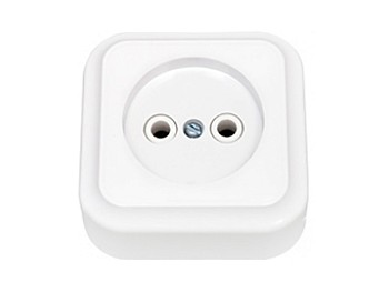 Розетка 1-ая (открытая, б/з) белая, Пралеска, Bylectrica