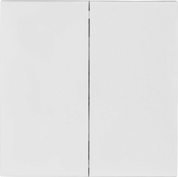 Выключатель 2 клав. проходной (скрытый, 10А) белый, Carre, BYLECTRICA