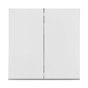 Выключатель 2 клав. (cкрытый, узел, 10А) белый, Carre, BYLECTRICA