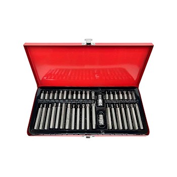 Набор вставок TORX 40 предметов ГАММАТЕСТ GT1Y143