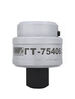 Головка с трещоткой ПНГ ГТ- 75406